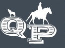 Logo Q-Place