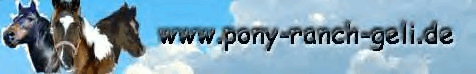 pony-ranch-geli